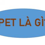 [ĐỊNH NGHĨA] Pet Là Gì? Top 6 Loại “Pet” Được Yêu Thích Nhất Hiện Nay