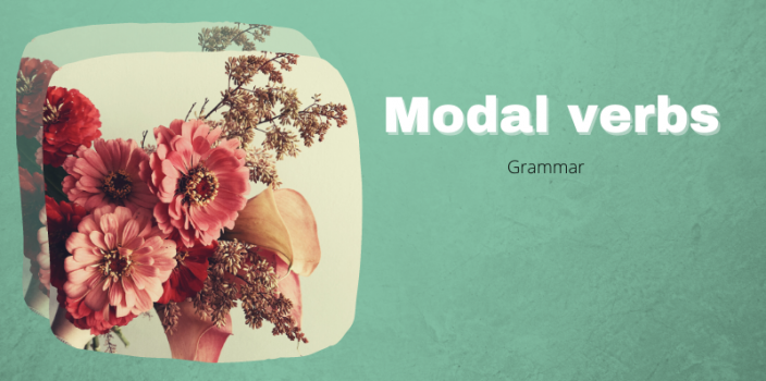 Modal verbs là gì? Khái niệm và cách dùng phổ biến tiếng Anh