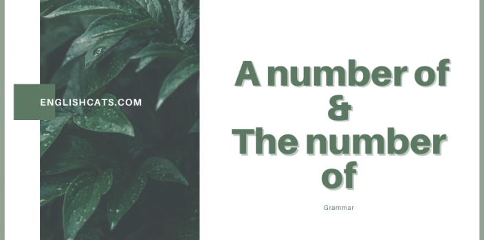 Phân biệt a number of và the number of ở ngữ pháp tiếng Anh